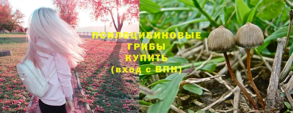 таблы Магадан
