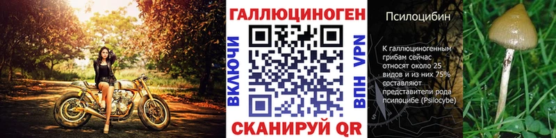 Галлюциногенные грибы мухоморы  сайты даркнета официальный сайт  Майкоп 